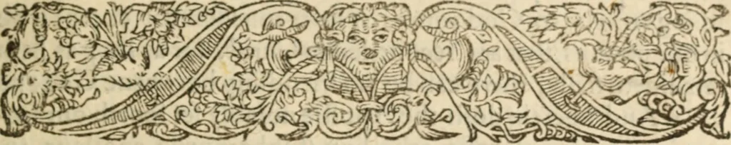 An illustration from Certain godly and learned sermons, preached by that worthy servant of Christ M. Ed. Philips in S. Saviors in Southwarke ..., 1607, leaf 352