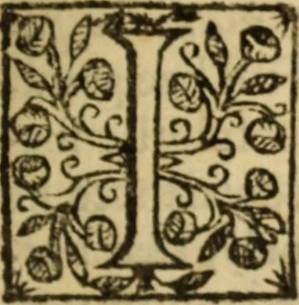 An illustration from Certain godly and learned sermons, preached by that worthy servant of Christ M. Ed. Philips in S. Saviors in Southwarke ..., 1607, leaf 378