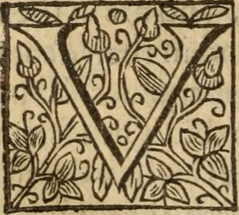 An illustration from Certain godly and learned sermons, preached by that worthy servant of Christ M. Ed. Philips in S. Saviors in Southwarke ..., 1607, leaf 399