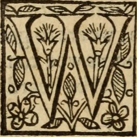 An illustration from Certain godly and learned sermons, preached by that worthy servant of Christ M. Ed. Philips in S. Saviors in Southwarke ..., 1607, leaf 431