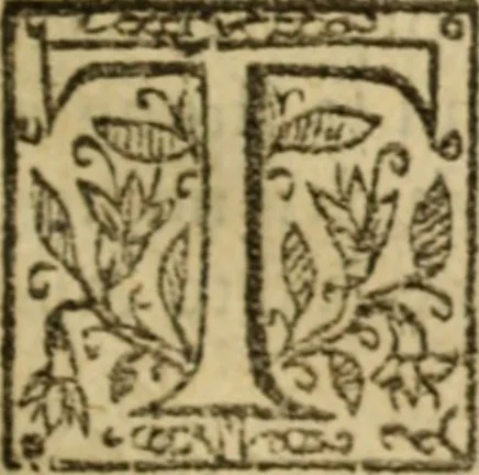 An illustration from Certain godly and learned sermons, preached by that worthy servant of Christ M. Ed. Philips in S. Saviors in Southwarke ..., 1607, leaf 458