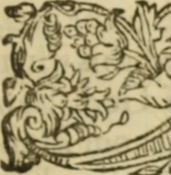 An illustration from Certain godly and learned sermons, preached by that worthy servant of Christ M. Ed. Philips in S. Saviors in Southwarke ..., 1607, leaf 494