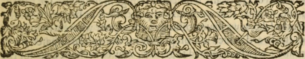 An illustration from Certain godly and learned sermons, preached by that worthy servant of Christ M. Ed. Philips in S. Saviors in Southwarke ..., 1607, leaf 508