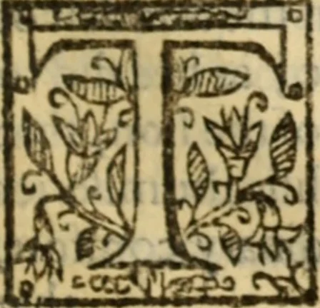 An illustration from Certain godly and learned sermons, preached by that worthy servant of Christ M. Ed. Philips in S. Saviors in Southwarke ..., 1607, leaf 508