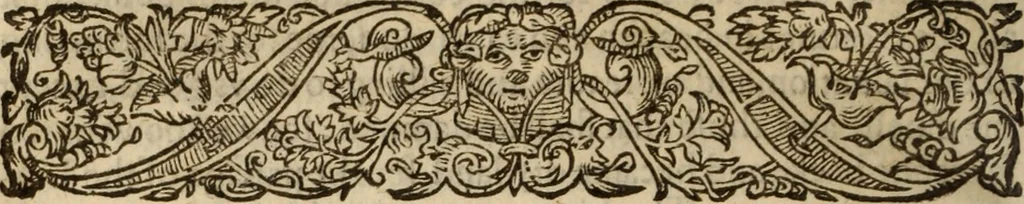 An illustration from Certain godly and learned sermons, preached by that worthy servant of Christ M. Ed. Philips in S. Saviors in Southwarke ..., 1607, leaf 545