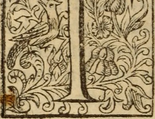 An illustration from Certain godly and learned sermons, preached by that worthy servant of Christ M. Ed. Philips in S. Saviors in Southwarke ..., 1607, leaf 577