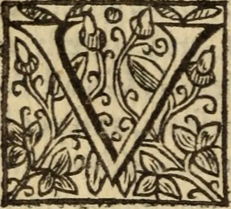 An illustration from Certain godly and learned sermons, preached by that worthy servant of Christ M. Ed. Philips in S. Saviors in Southwarke ..., 1607, leaf 595
