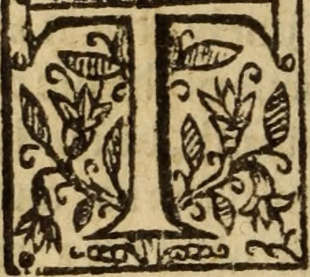 An illustration from Certain godly and learned sermons, preached by that worthy servant of Christ M. Ed. Philips in S. Saviors in Southwarke ..., 1607, leaf 605