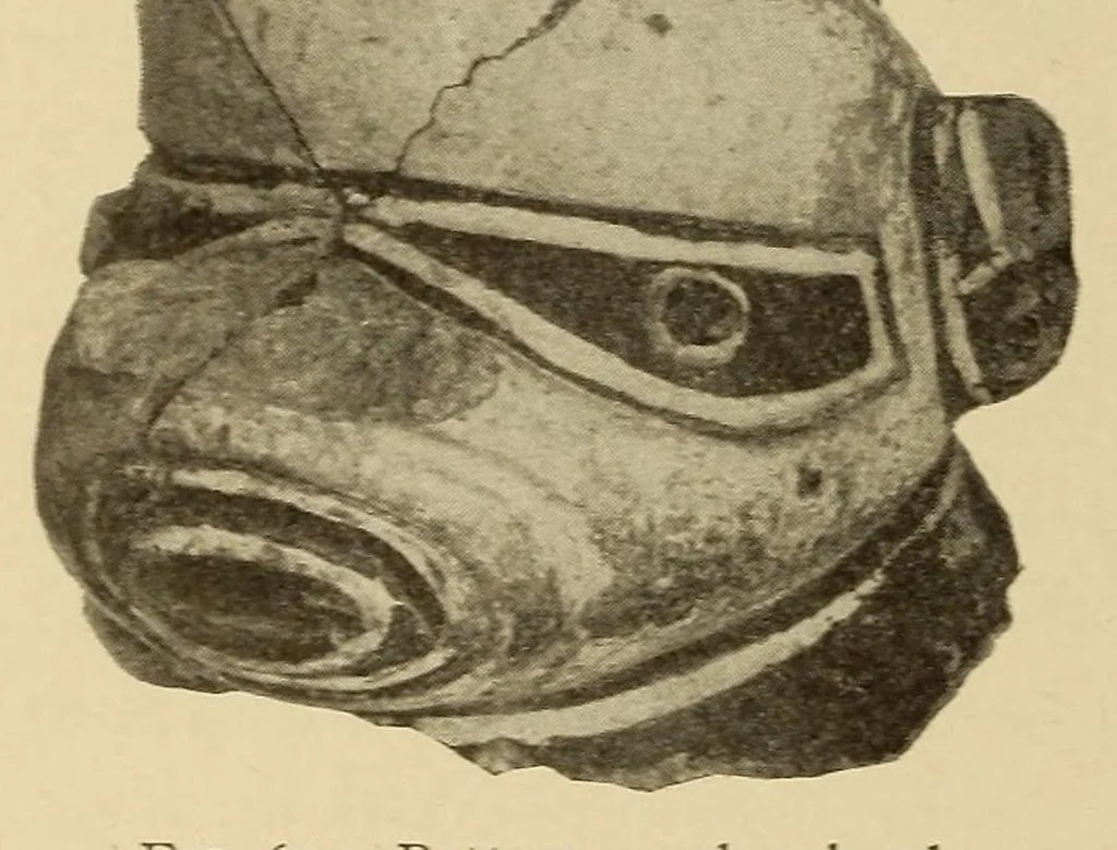 An illustration from Certain archaeological investigations in Trinidad, British West Indies, 1918, leaf 24