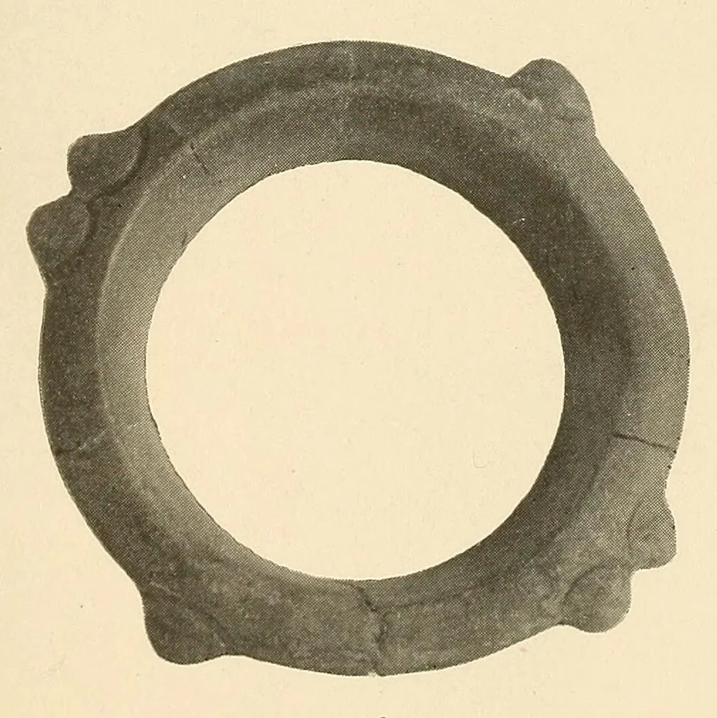 An illustration from Certain archaeological investigations in Trinidad, British West Indies, 1918, leaf 25