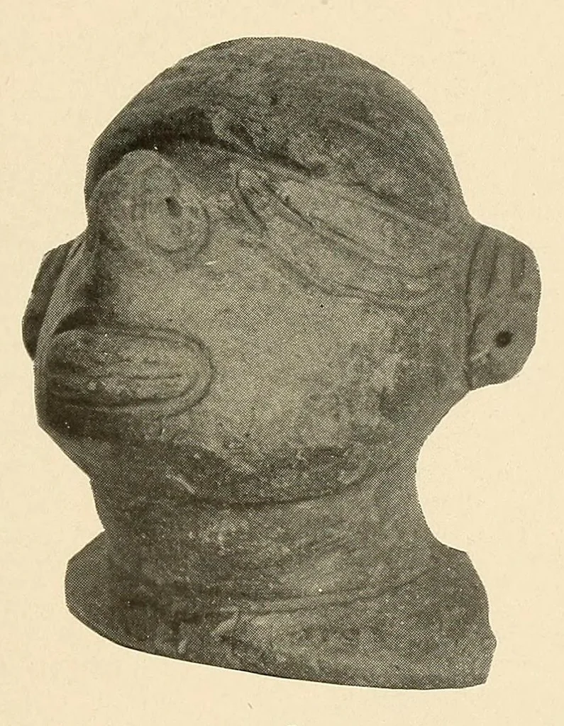 An illustration from Certain archaeological investigations in Trinidad, British West Indies, 1918, leaf 25
