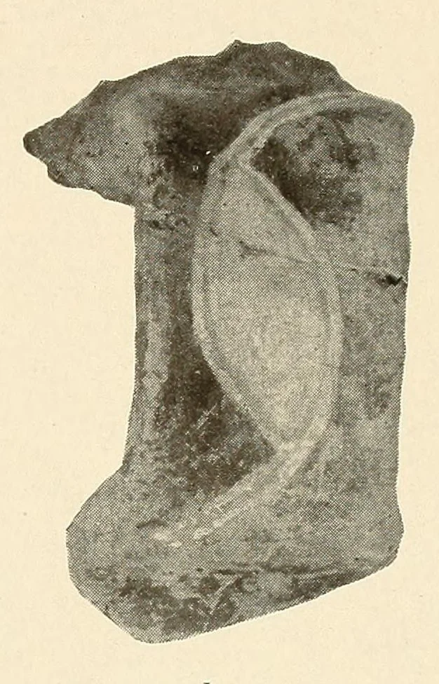 An illustration from Certain archaeological investigations in Trinidad, British West Indies, 1918, leaf 27