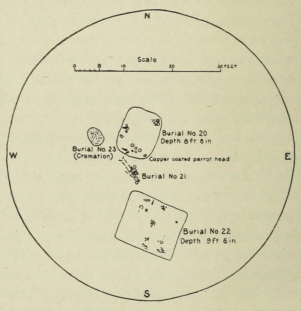 An illustration from Certain Caddo sites in Arkansas, 1920, leaf 130