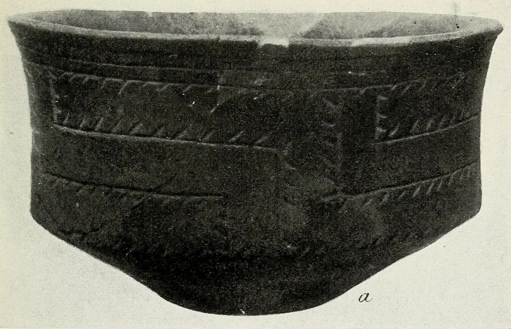 An illustration from Certain Caddo sites in Arkansas, 1920, leaf 265