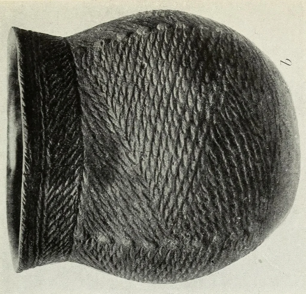 An illustration from Certain Caddo sites in Arkansas, 1920, leaf 319