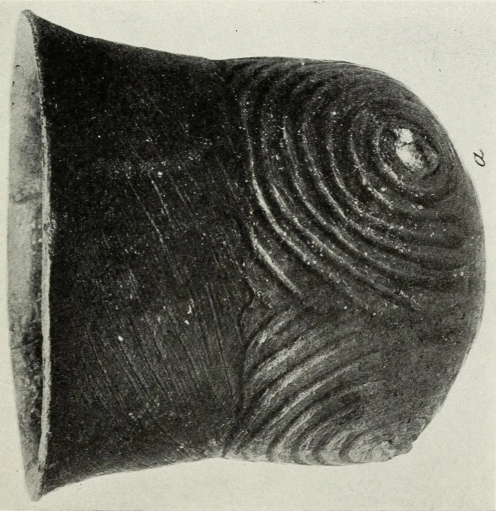An illustration from Certain Caddo sites in Arkansas, 1920, leaf 333