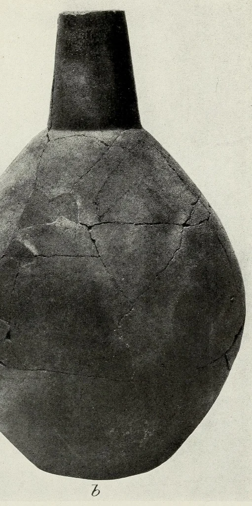 An illustration from Certain Caddo sites in Arkansas, 1920, leaf 347