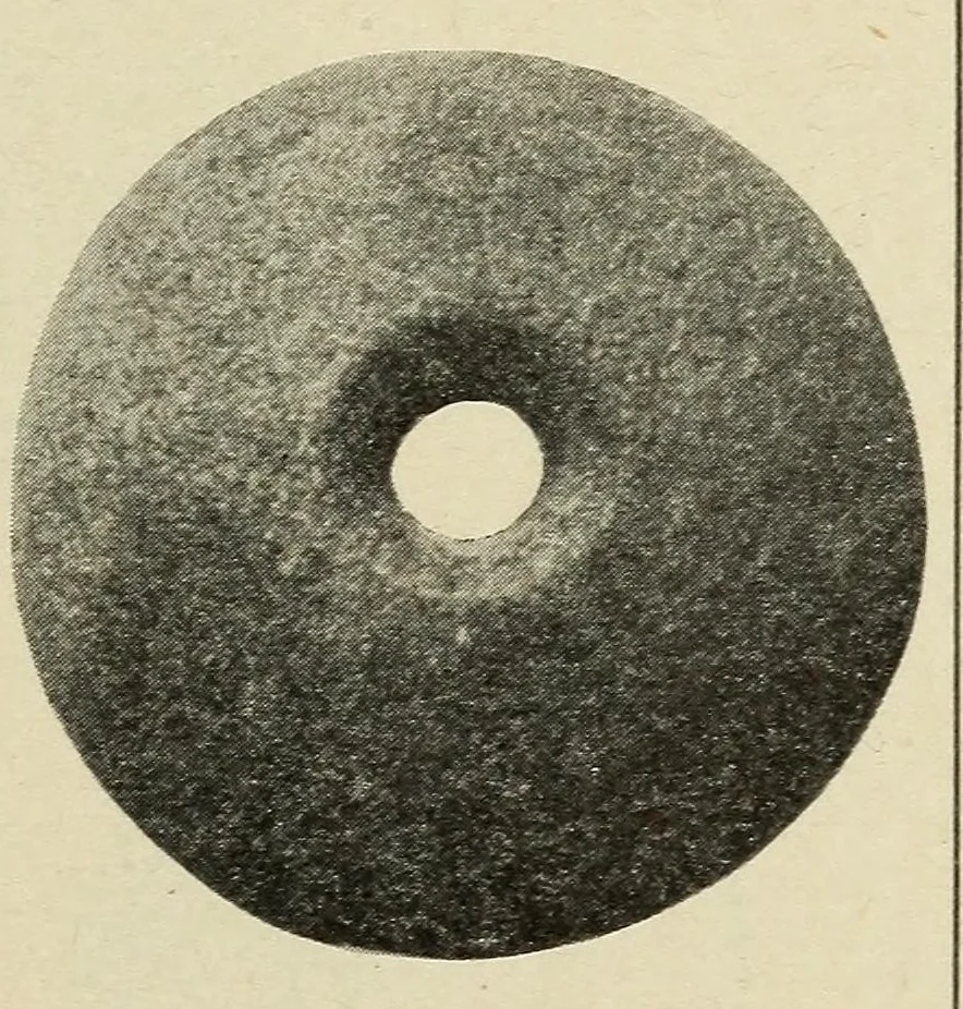 An illustration from Certain Caddo sites in Arkansas, 1920, leaf 465