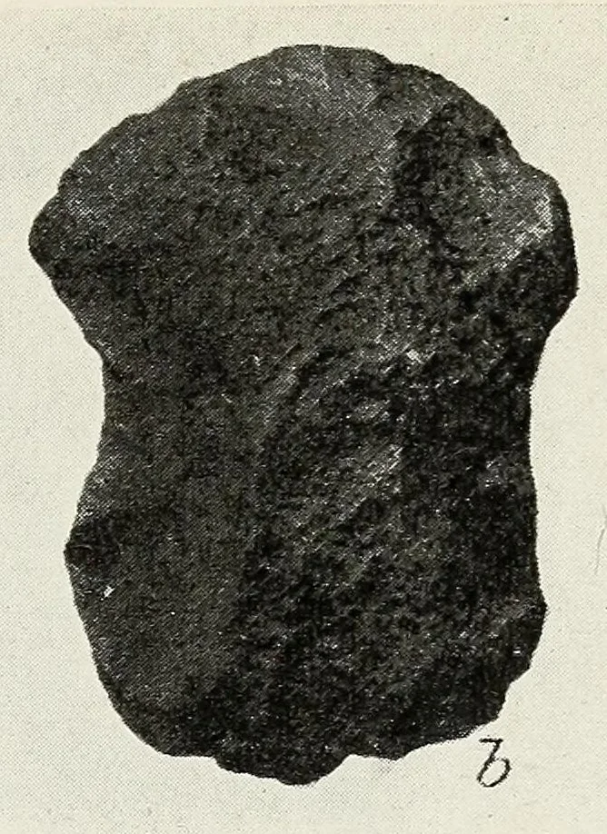 An illustration from Certain Caddo sites in Arkansas, 1920, leaf 483