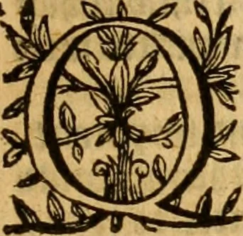 An illustration from Certayn godly sermons made uppon the Lords prayer, 1562, leaf 376