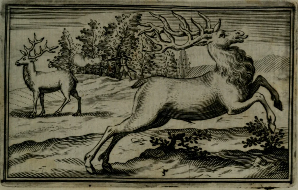 An illustration from Cervvs, hoc est, qvæ per cervvm significata fvere sacris Ægyptiorvm literis. Der Hirsch, vnd Bedeutung der Figuren desselben, welche bey den weisesten Leuten in Egypten breuchlich gewesen sein, 1602, leaf 16