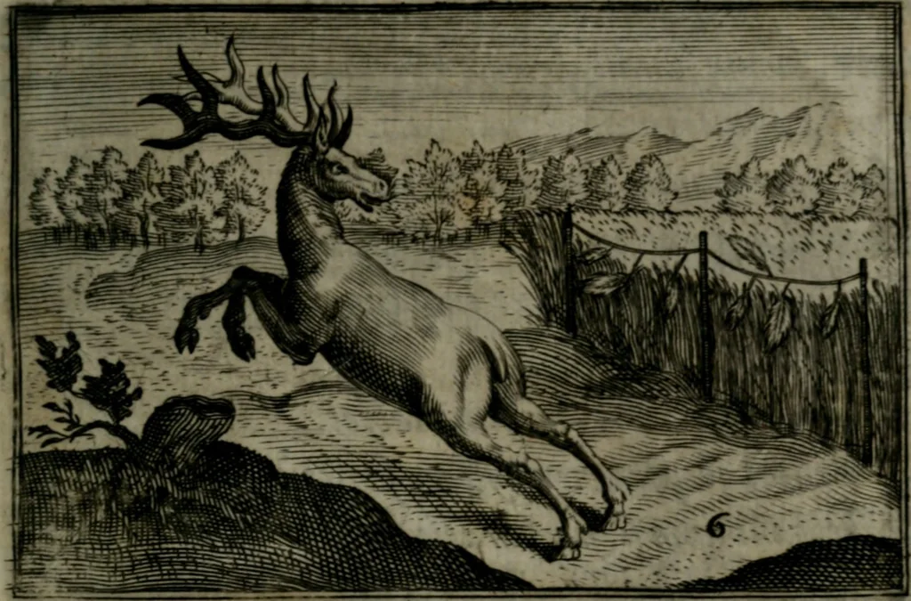An illustration from Cervvs, hoc est, qvæ per cervvm significata fvere sacris Ægyptiorvm literis. Der Hirsch, vnd Bedeutung der Figuren desselben, welche bey den weisesten Leuten in Egypten breuchlich gewesen sein, 1602, leaf 18
