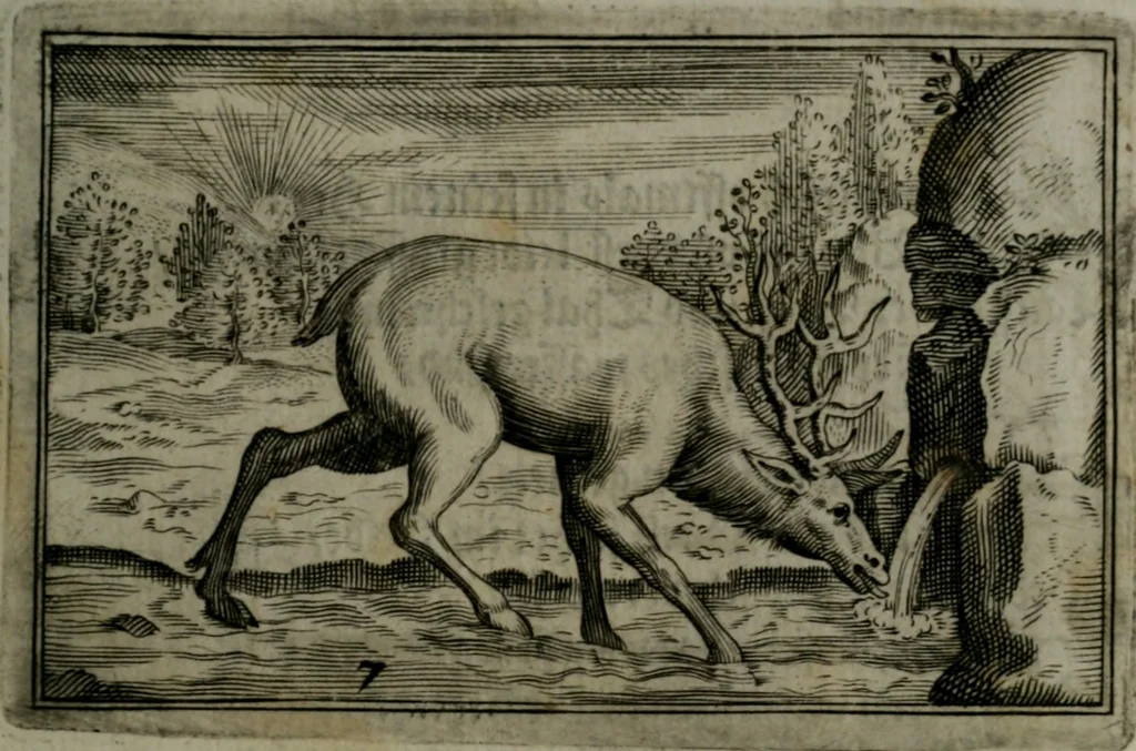 An illustration from Cervvs, hoc est, qvæ per cervvm significata fvere sacris Ægyptiorvm literis. Der Hirsch, vnd Bedeutung der Figuren desselben, welche bey den weisesten Leuten in Egypten breuchlich gewesen sein, 1602, leaf 22