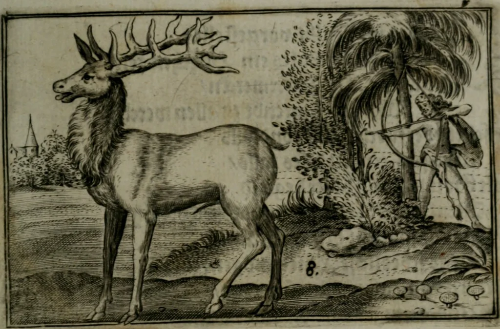 An illustration from Cervvs, hoc est, qvæ per cervvm significata fvere sacris Ægyptiorvm literis. Der Hirsch, vnd Bedeutung der Figuren desselben, welche bey den weisesten Leuten in Egypten breuchlich gewesen sein, 1602, leaf 24