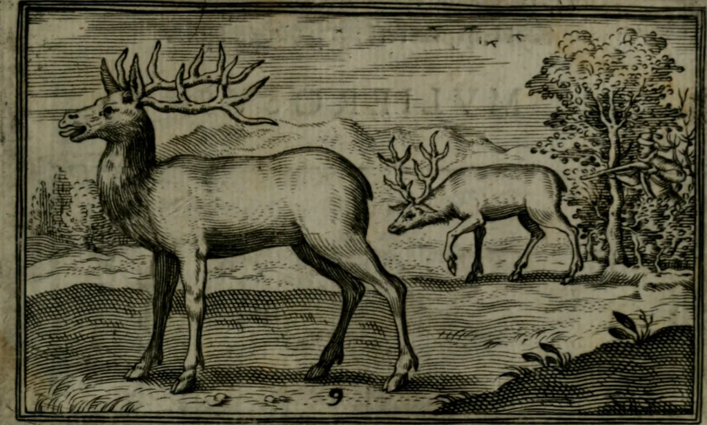 An illustration from Cervvs, hoc est, qvæ per cervvm significata fvere sacris Ægyptiorvm literis. Der Hirsch, vnd Bedeutung der Figuren desselben, welche bey den weisesten Leuten in Egypten breuchlich gewesen sein, 1602, leaf 26