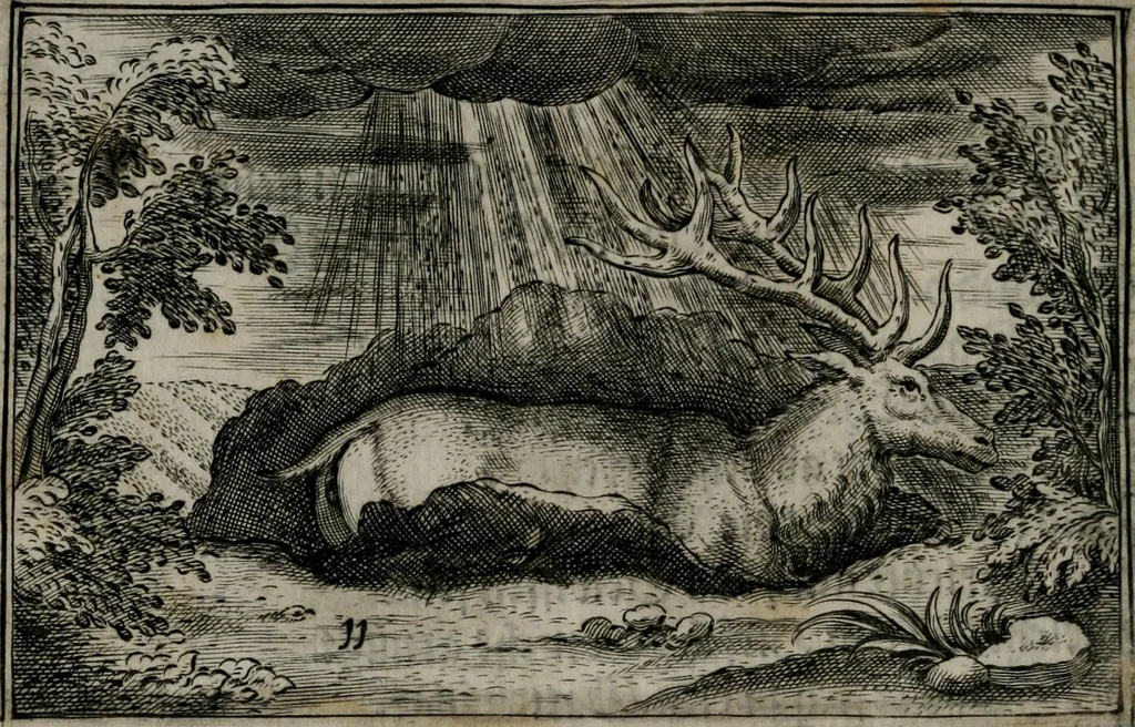 An illustration from Cervvs, hoc est, qvæ per cervvm significata fvere sacris Ægyptiorvm literis. Der Hirsch, vnd Bedeutung der Figuren desselben, welche bey den weisesten Leuten in Egypten breuchlich gewesen sein, 1602, leaf 29