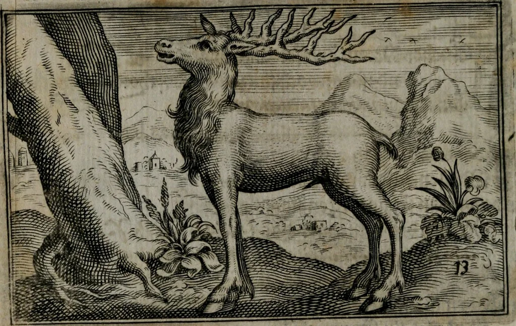 An illustration from Cervvs, hoc est, qvæ per cervvm significata fvere sacris Ægyptiorvm literis. Der Hirsch, vnd Bedeutung der Figuren desselben, welche bey den weisesten Leuten in Egypten breuchlich gewesen sein, 1602, leaf 33