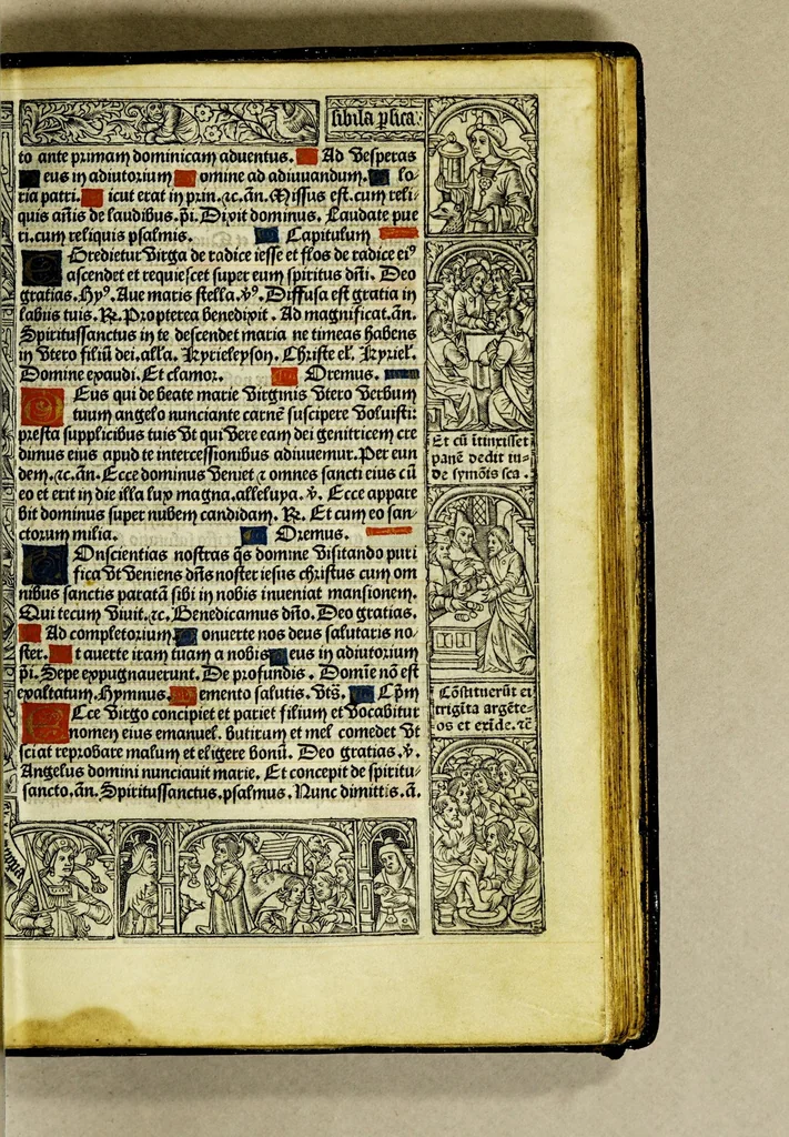 An illustration from Ces presentes heures a lusaige de Rom[m]e fure[n]t acheuez lan mil. CCCC.iiii.xx. [et] xviii. le xxii. iour de aoust pour Symo[n] Vostre libraire demoura[n]t a Paris a la rue neuue Nostre Dame a lenseigne Sainct Jehan leuangeliste, leaf 67