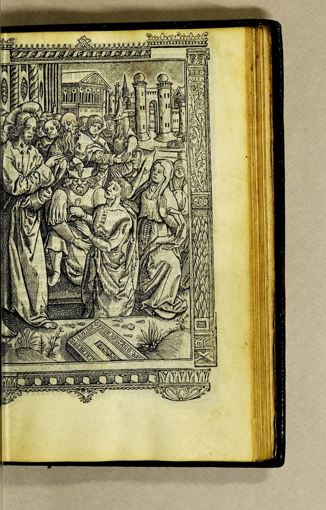 An illustration from Ces presentes heures a lusaige de Ro[m]me tout au long sans rie[n]s requerir : auec les figures de lapocalipse [&] plusieurs autres belles hystoires faictes a la mode dytalic, 1505, leaf 139