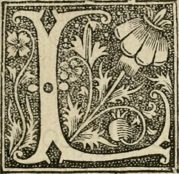 An illustration from Cest la dedvction du sumptueux ordre, plaisantz spectacles et magnifiqves theatres : dresses et exhibes par les citoiens de Rouen, ville metropolitaine du pays de Normandie, a la sacree maiesté du treschristian roy de France, Henry Secõd leur souuerain seigneur, et à tresillustre dame, ma dame Katharine de Medicis, la royne son espouze, lors de leur triumphant, ioyeulx & nouuel aduenement en icelle ville, qui fut es iours de mercredy & ieudy premier & secõd iours d'octobre, mil cinq cens cinquante : et pour plus expresse intelligence de ce tant excellent triumphe, les figures & pourtraictz des principaulx aornementz d'iceluy y sont apposez chascun en son lieu comme l'on pourra veoir par le discours de l'histoire, 1551, leaf 12