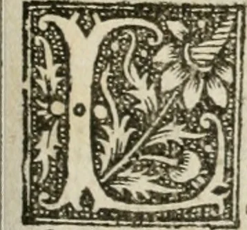 An illustration from Cest la dedvction du sumptueux ordre, plaisantz spectacles et magnifiqves theatres : dresses et exhibes par les citoiens de Rouen, ville metropolitaine du pays de Normandie, a la sacree maiesté du treschristian roy de France, Henry Secõd leur souuerain seigneur, et à tresillustre dame, ma dame Katharine de Medicis, la royne son espouze, lors de leur triumphant, ioyeulx & nouuel aduenement en icelle ville, qui fut es iours de mercredy & ieudy premier & secõd iours d'octobre, mil cinq cens cinquante : et pour plus expresse intelligence de ce tant excellent triumphe, les figures & pourtraictz des principaulx aornementz d'iceluy y sont apposez chascun en son lieu comme l'on pourra veoir par le discours de l'histoire, 1551, leaf 50