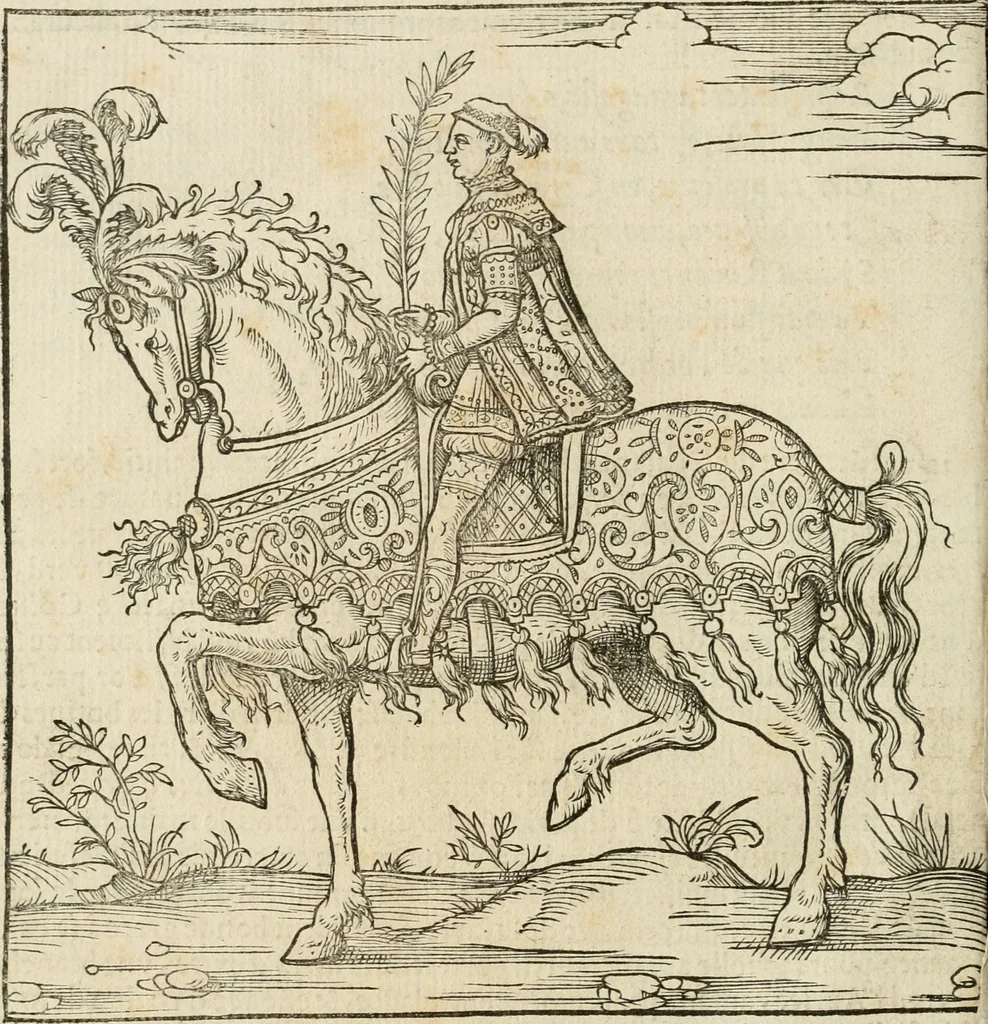 An illustration from Cest la dedvction du sumptueux ordre, plaisantz spectacles et magnifiqves theatres : dresses et exhibes par les citoiens de Rouen, ville metropolitaine du pays de Normandie, a la sacree maiesté du treschristian roy de France, Henry Secõd leur souuerain seigneur, et à tresillustre dame, ma dame Katharine de Medicis, la royne son espouze, lors de leur triumphant, ioyeulx & nouuel aduenement en icelle ville, qui fut es iours de mercredy & ieudy premier & secõd iours d'octobre, mil cinq cens cinquante : et pour plus expresse intelligence de ce tant excellent triumphe, les figures & pourtraictz des principaulx aornementz d'iceluy y sont apposez chascun en son lieu comme l'on pourra veoir par le discours de l'histoire, 1551, leaf 69