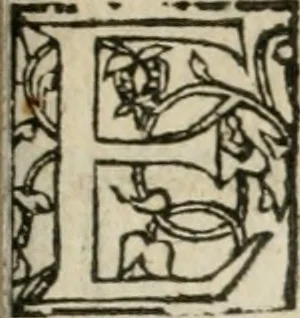 An illustration from Cest la dedvction du sumptueux ordre, plaisantz spectacles et magnifiqves theatres : dresses et exhibes par les citoiens de Rouen, ville metropolitaine du pays de Normandie, a la sacree maiesté du treschristian roy de France, Henry Secõd leur souuerain seigneur, et à tresillustre dame, ma dame Katharine de Medicis, la royne son espouze, lors de leur triumphant, ioyeulx & nouuel aduenement en icelle ville, qui fut es iours de mercredy & ieudy premier & secõd iours d'octobre, mil cinq cens cinquante : et pour plus expresse intelligence de ce tant excellent triumphe, les figures & pourtraictz des principaulx aornementz d'iceluy y sont apposez chascun en son lieu comme l'on pourra veoir par le discours de l'histoire, 1551, leaf 96