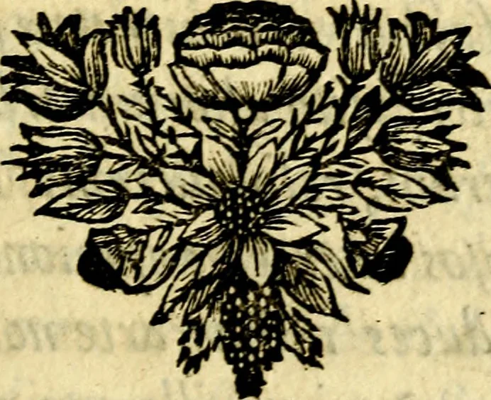 An illustration from C. F. Menestrerii ... Philosophia imaginum id est sylloge symbolorum amlissima, .., 1695, leaf 10