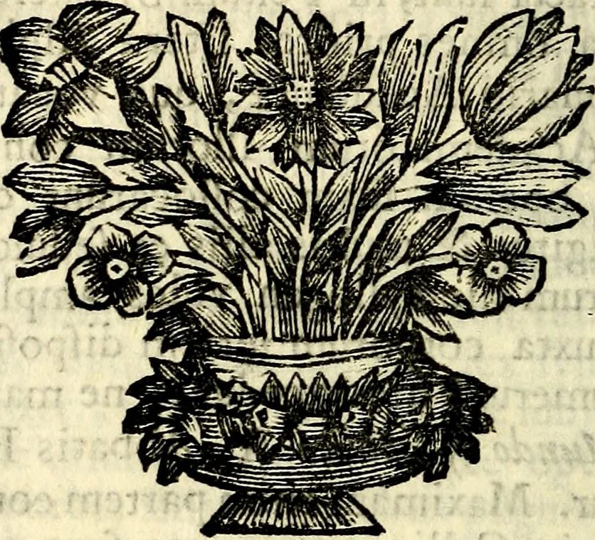 An illustration from C. F. Menestrerii ... Philosophia imaginum id est sylloge symbolorum amlissima, .., 1695, leaf 113