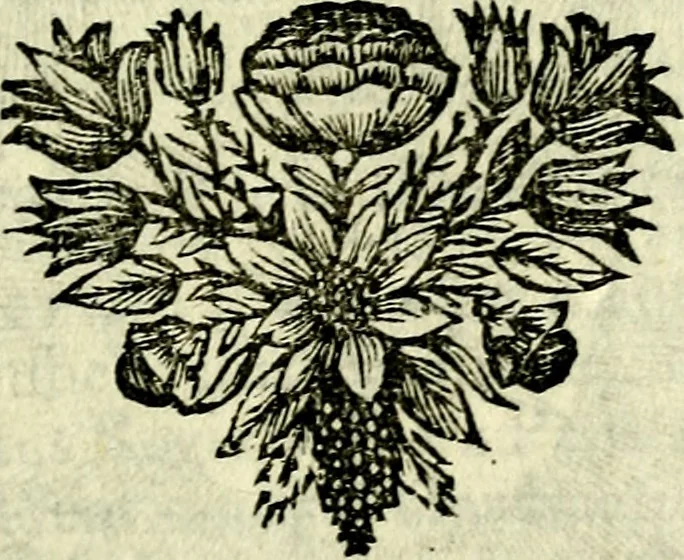 An illustration from C. F. Menestrerii ... Philosophia imaginum id est sylloge symbolorum amlissima, .., 1695, leaf 392