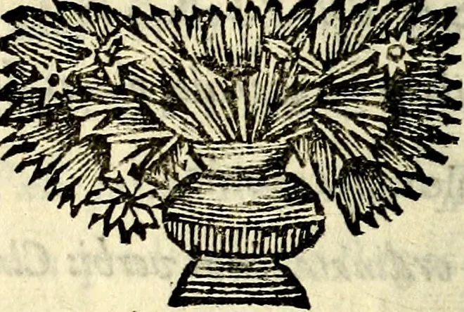 An illustration from C. F. Menestrerii ... Philosophia imaginum id est sylloge symbolorum amlissima, .., 1695, leaf 403