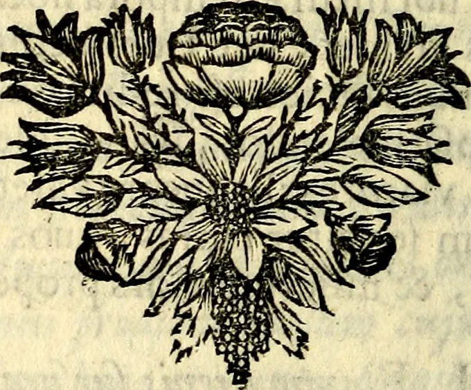 An illustration from C. F. Menestrerii ... Philosophia imaginum id est sylloge symbolorum amlissima, .., 1695, leaf 427