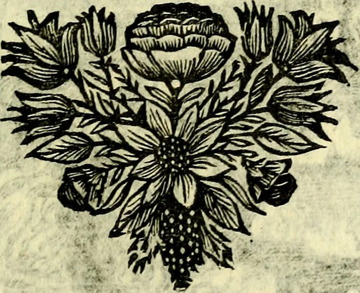 An illustration from C. F. Menestrerii ... Philosophia imaginum id est sylloge symbolorum amlissima, .., 1695, leaf 452