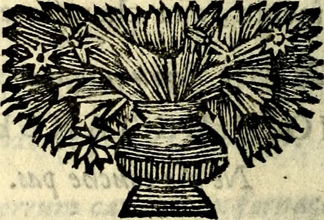 An illustration from C. F. Menestrerii ... Philosophia imaginum id est sylloge symbolorum amlissima, .., 1695, leaf 481