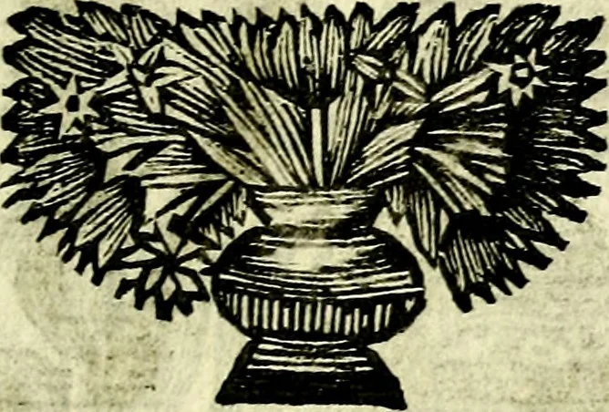 An illustration from C. F. Menestrerii ... Philosophia imaginum id est sylloge symbolorum amlissima, .., 1695, leaf 504