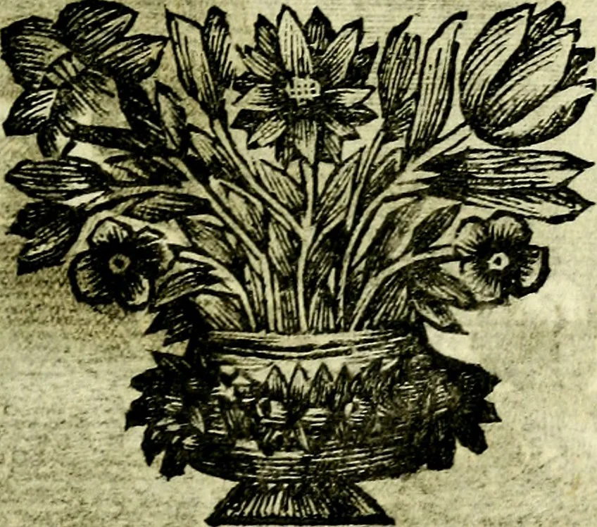 An illustration from C. F. Menestrerii ... Philosophia imaginum id est sylloge symbolorum amlissima, .., 1695, leaf 522