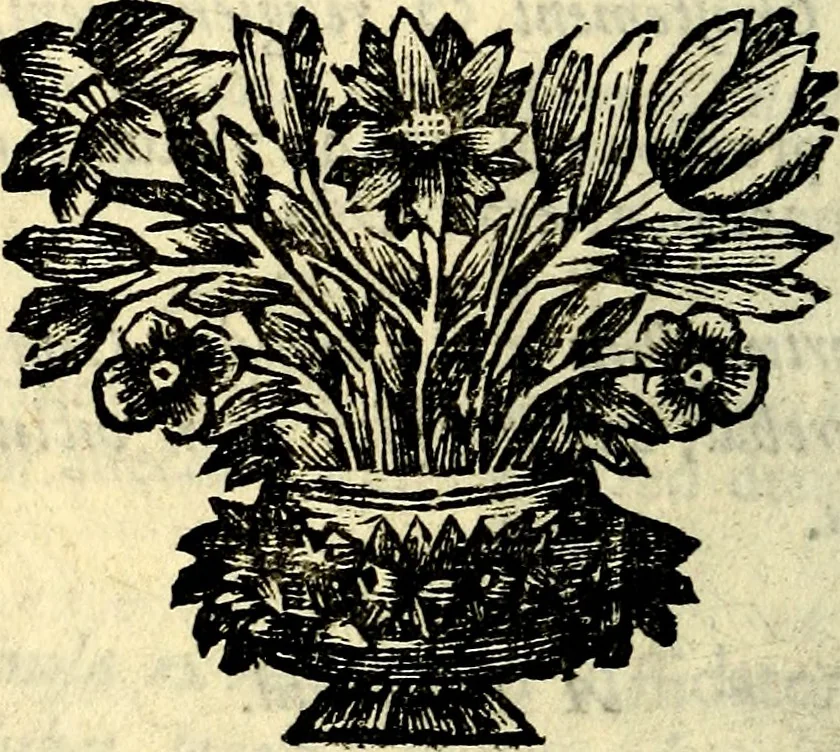 An illustration from C. F. Menestrerii ... Philosophia imaginum id est sylloge symbolorum amlissima, .., 1695, leaf 541