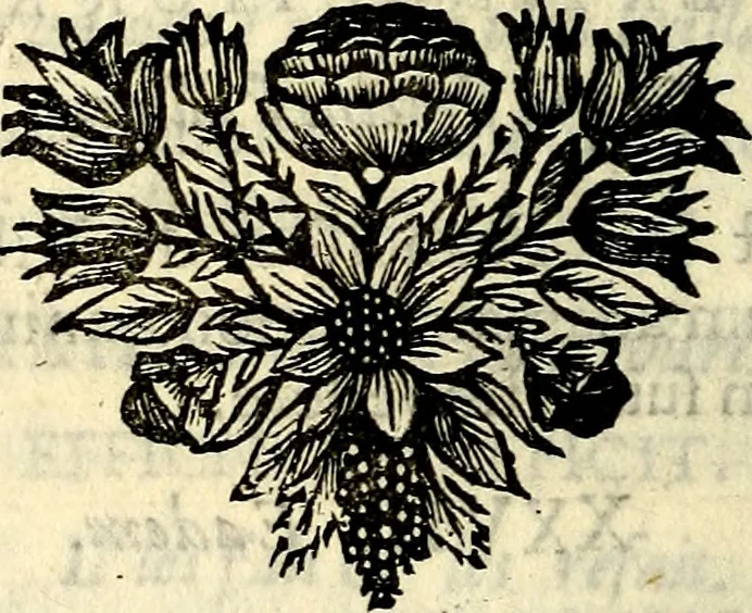 An illustration from C. F. Menestrerii ... Philosophia imaginum id est sylloge symbolorum amlissima, .., 1695, leaf 549