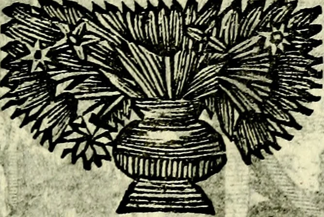 An illustration from C. F. Menestrerii ... Philosophia imaginum id est sylloge symbolorum amlissima, .., 1695, leaf 554