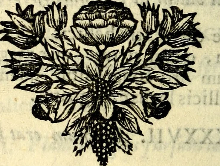 An illustration from C. F. Menestrerii ... Philosophia imaginum id est sylloge symbolorum amlissima, .., 1695, leaf 607